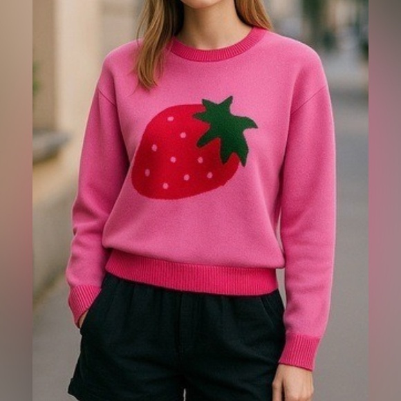 Luna Ivy Sweaters - NWT Luna Ivy Chic Pink Strawberry Crew Neck Sweater sz M